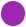 icn-circle-purple.png